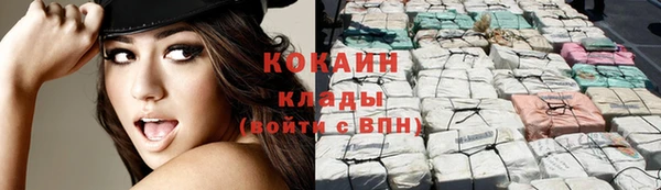 ГАЛЛЮЦИНОГЕННЫЕ ГРИБЫ Вяземский