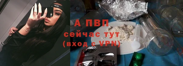 ГАЛЛЮЦИНОГЕННЫЕ ГРИБЫ Вяземский