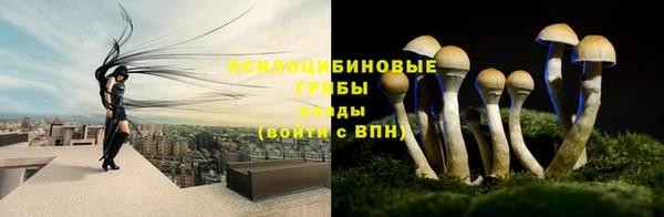 ешки Нея