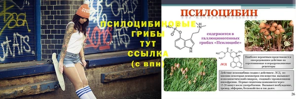 ГАЛЛЮЦИНОГЕННЫЕ ГРИБЫ Вяземский
