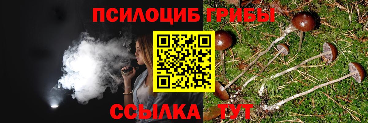 Снежинск  Псилоцибиновые грибы Psilocybe  Вход с VPN 